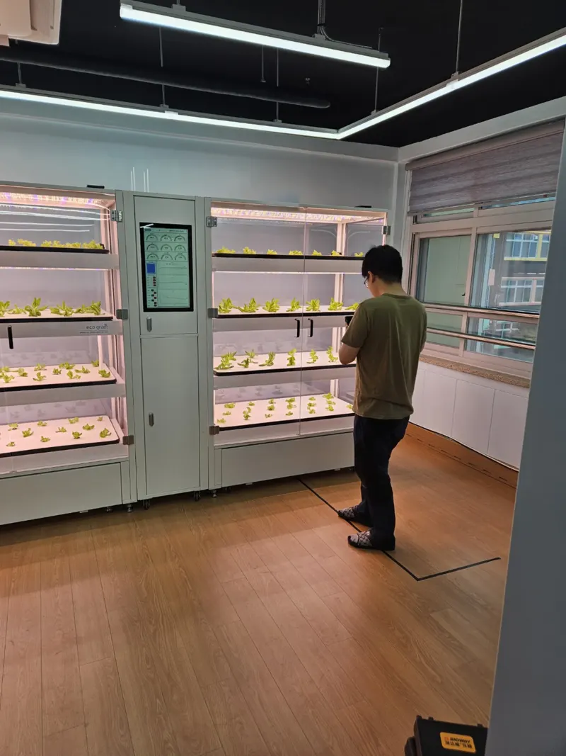 천안 스마트팜 설치 후 LED 재배 선반이 들어선 실내 공간
